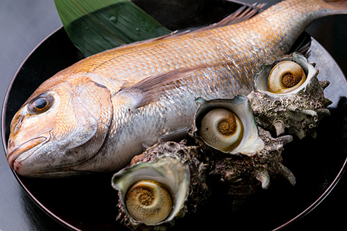 新鮮で旬な魚